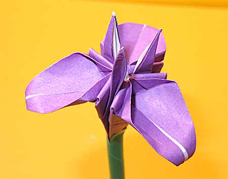 折り紙であやめ 花菖蒲の折り方 花弁3枚で簡単立体的な作り方 セツ